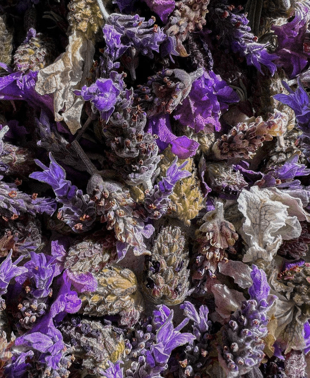 Tasmanian Lavender Room Mist image 5