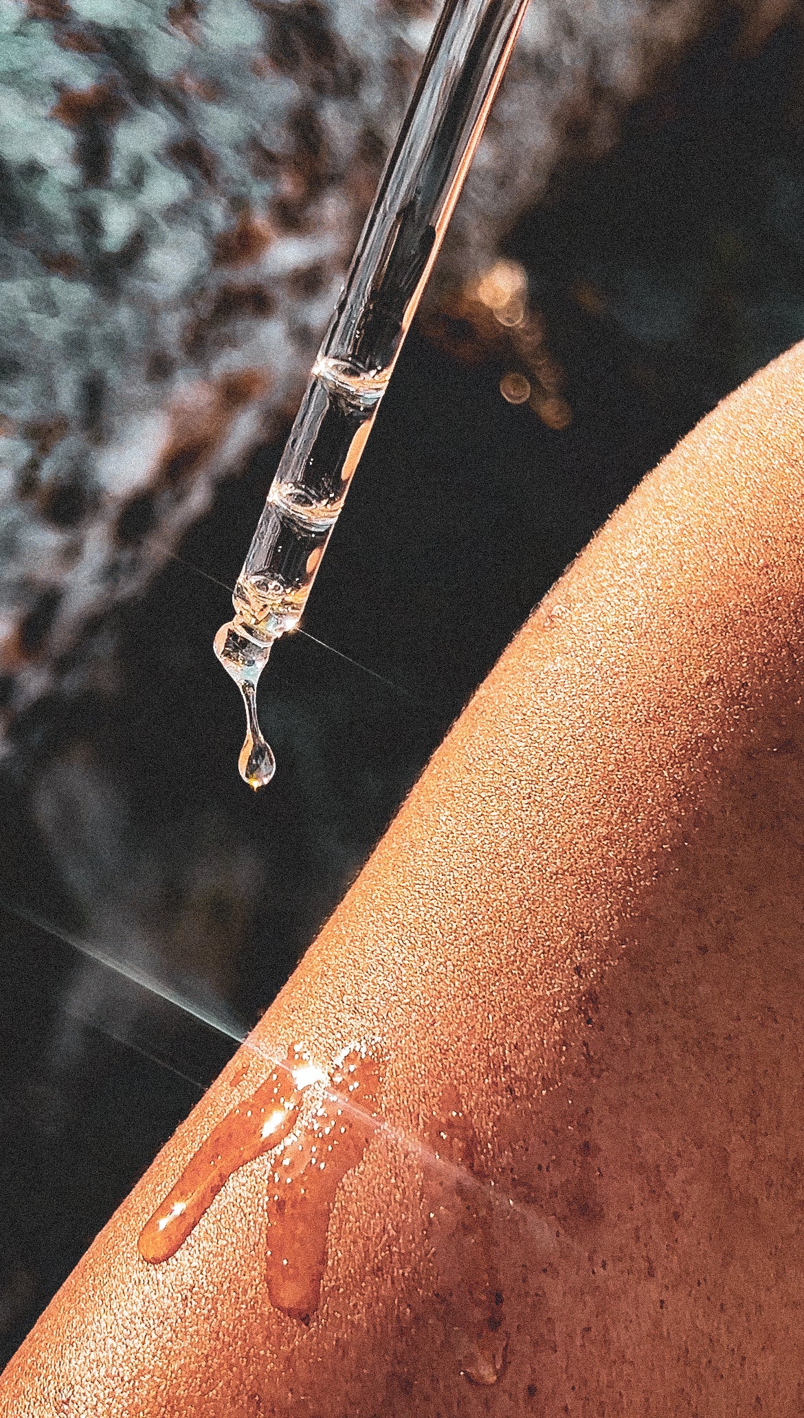 Rose Radiance Elixir Body Oil image 1